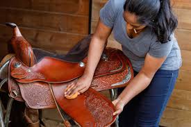 Heathy Leather Conditioner for sadles